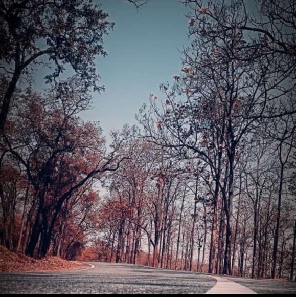 Meet your Posher, Ageesh - Picture 1 of 1